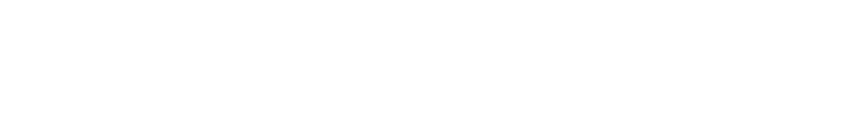 logo-pluslegal-protect-blanco